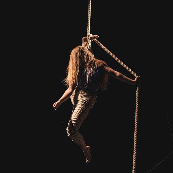 Programme des spectacles de cirque à UP