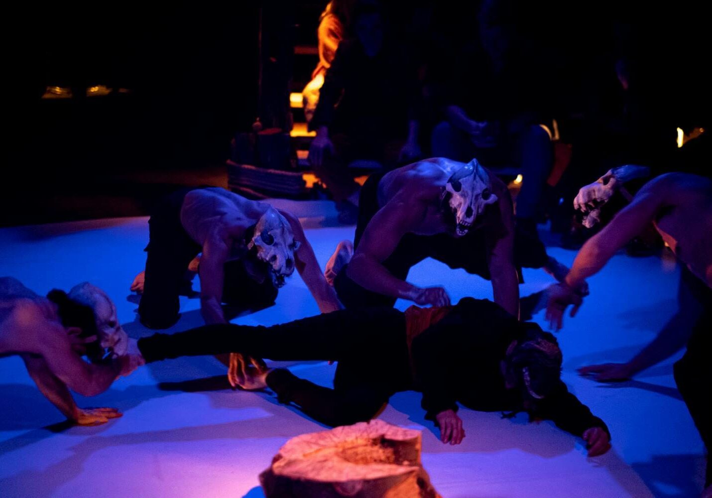 chloe devoree par les loups chloe devoree par les loups