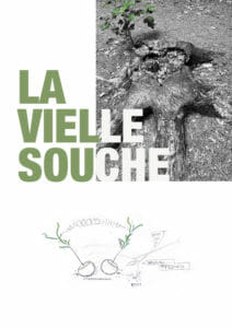 La vieille souche