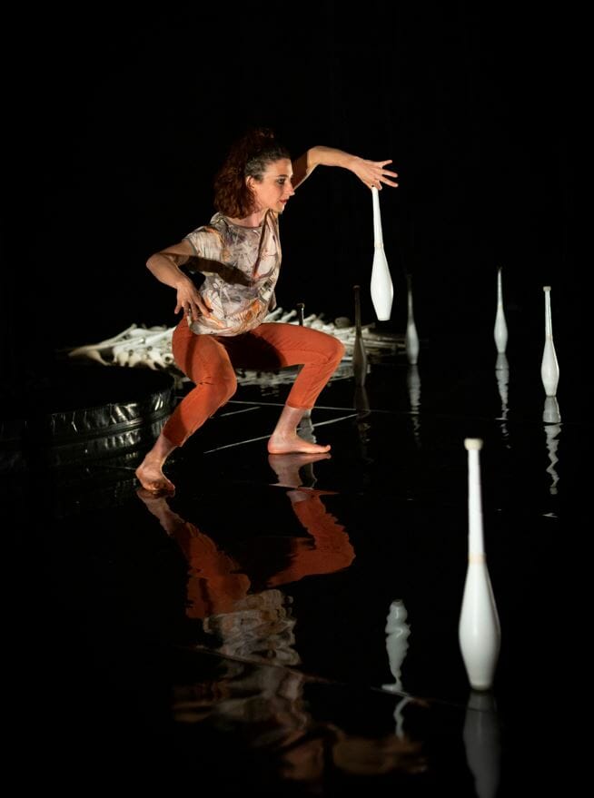 © Circusögraphy