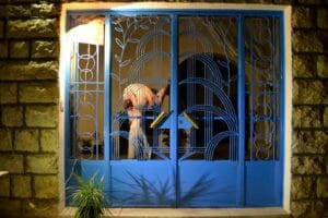 Le cirque de l’intime (titre provisoire)