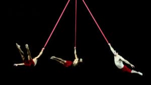 Le Témoignage de la Chimère