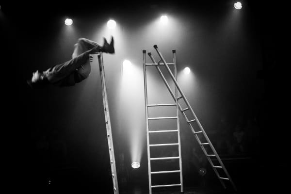 © Stefano Scheda