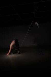 Milieu© C.Montpetit