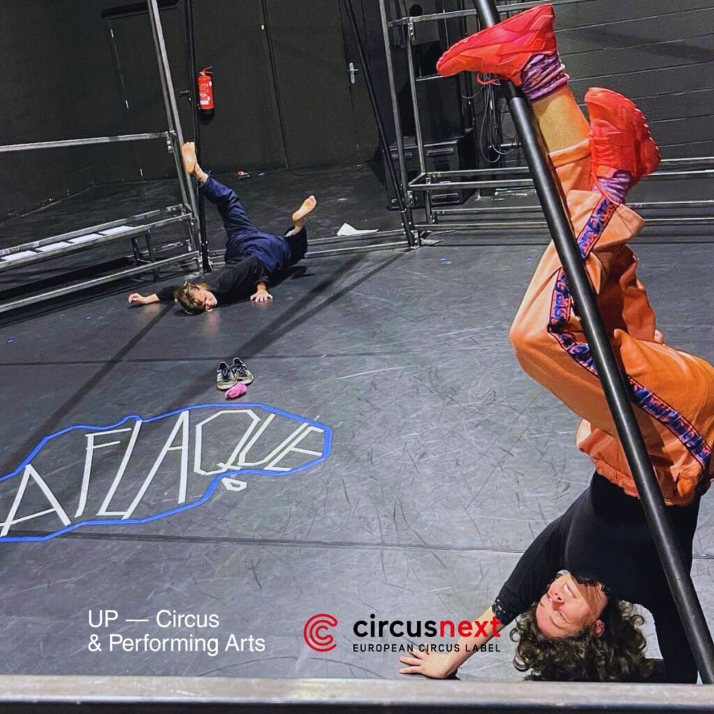 DES AMOURES CHIENNES AUX AMOUR-LICHEN